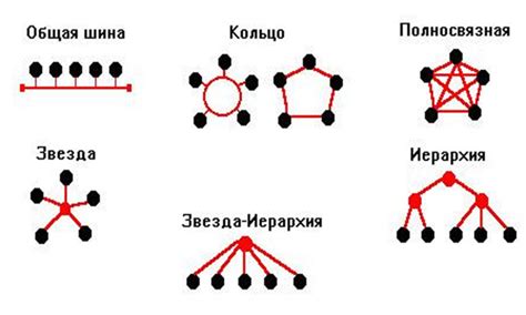 Виды топологии сети