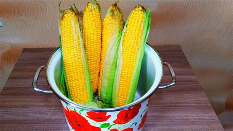 Как долго варить кукурузу в початках в кастрюле
