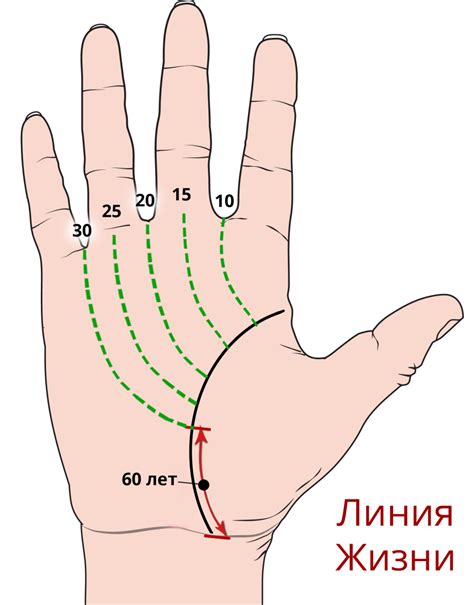 Линии на руке и их значение на правой руке