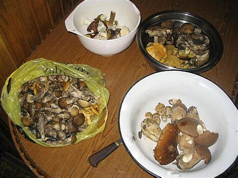 Маринованные грибы рецепт
