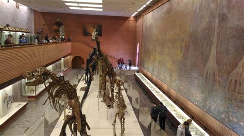 Палеонтологический музей москва официальный сайт