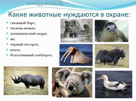 Растения и животные которые нуждаются в охране в московской области