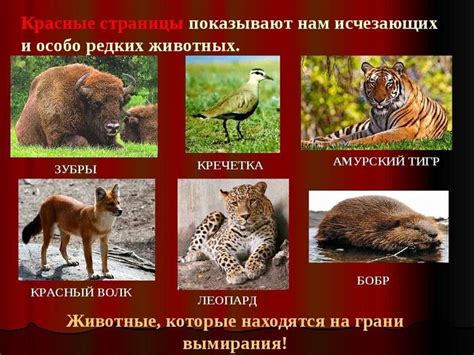 Растения и животные которые нуждаются в охране в московской области
