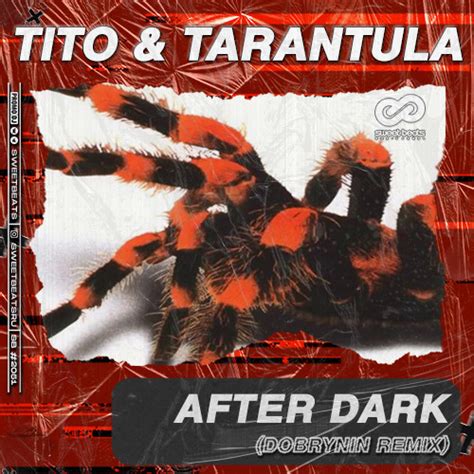 After dark tito tarantula