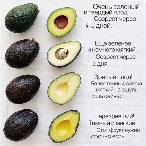 Как правильно выбирать авокадо