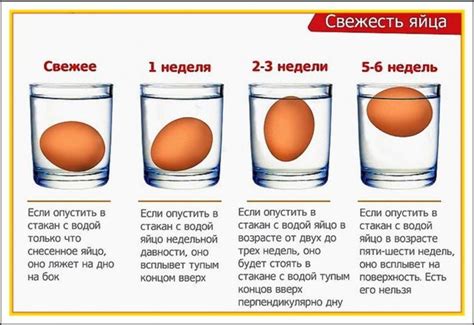 Как проверить яйцо на свежесть