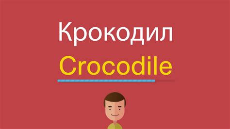 Крокодил по английски