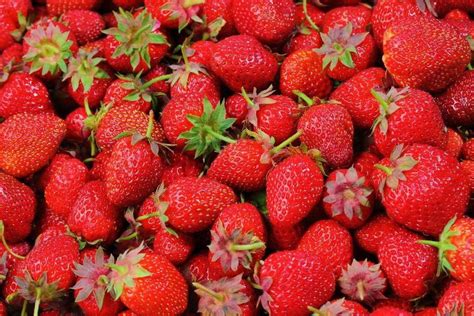 Почему ягоды клубники твердые и сухие