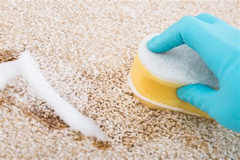 Чем почистить ковролин в домашних условиях от грязи