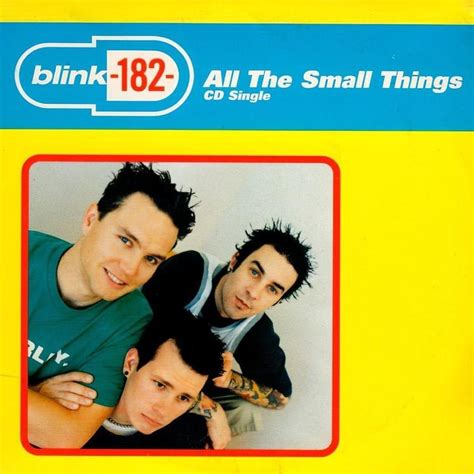 All the small things blink 182